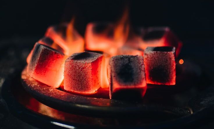 Easy and Profitable Briquette Business