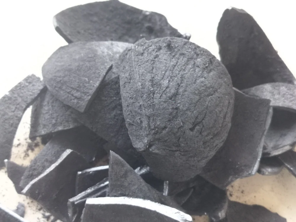 innovative coconut briquette solutions
