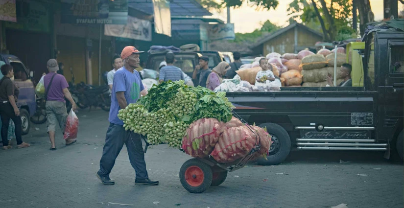Strategi Efisiensi Logistik Pangan untuk Distribusi