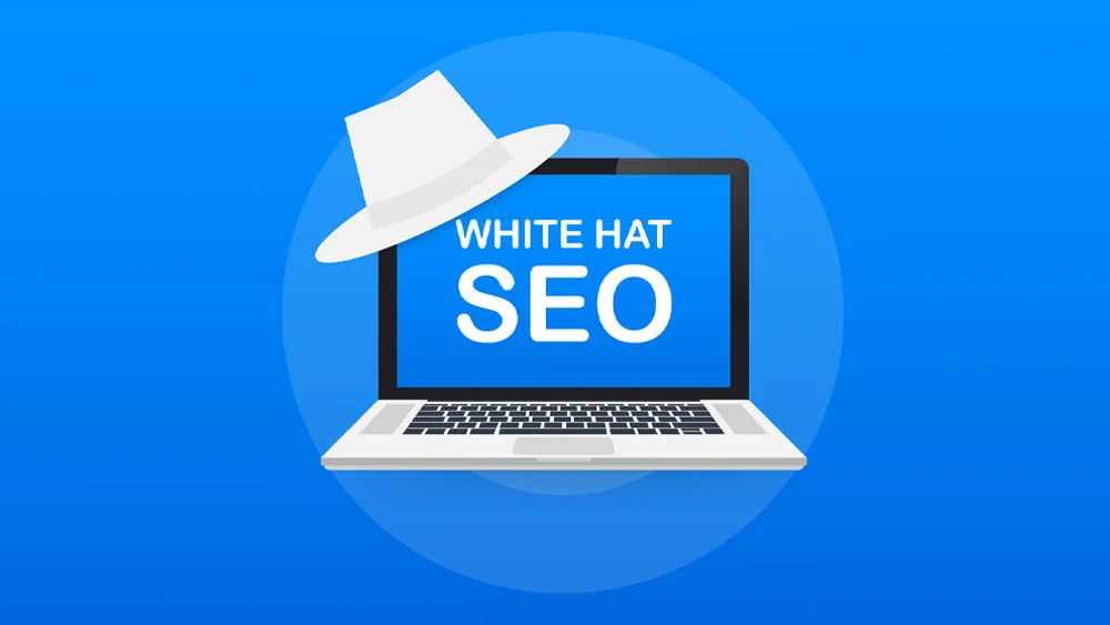 Teknik White Hat PBN untuk Backlink Aman dan Efektif