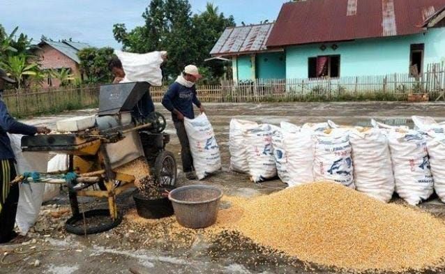 Mengenal Perbedaan Gilingan Padi Keliling Dan Penggilingan Menetap