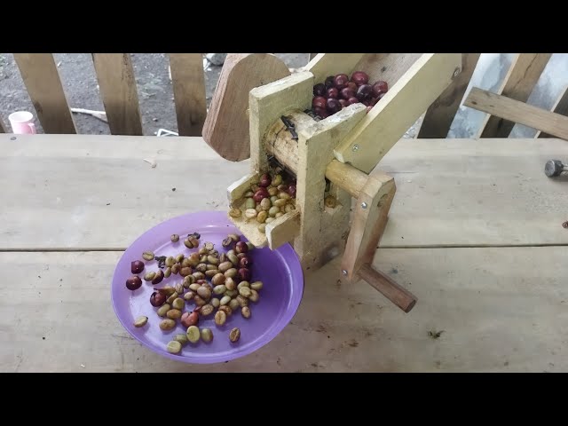 cara mengolah kulit kopi basah 