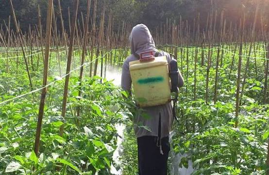 cara menghemat tenaga saat menyemprot