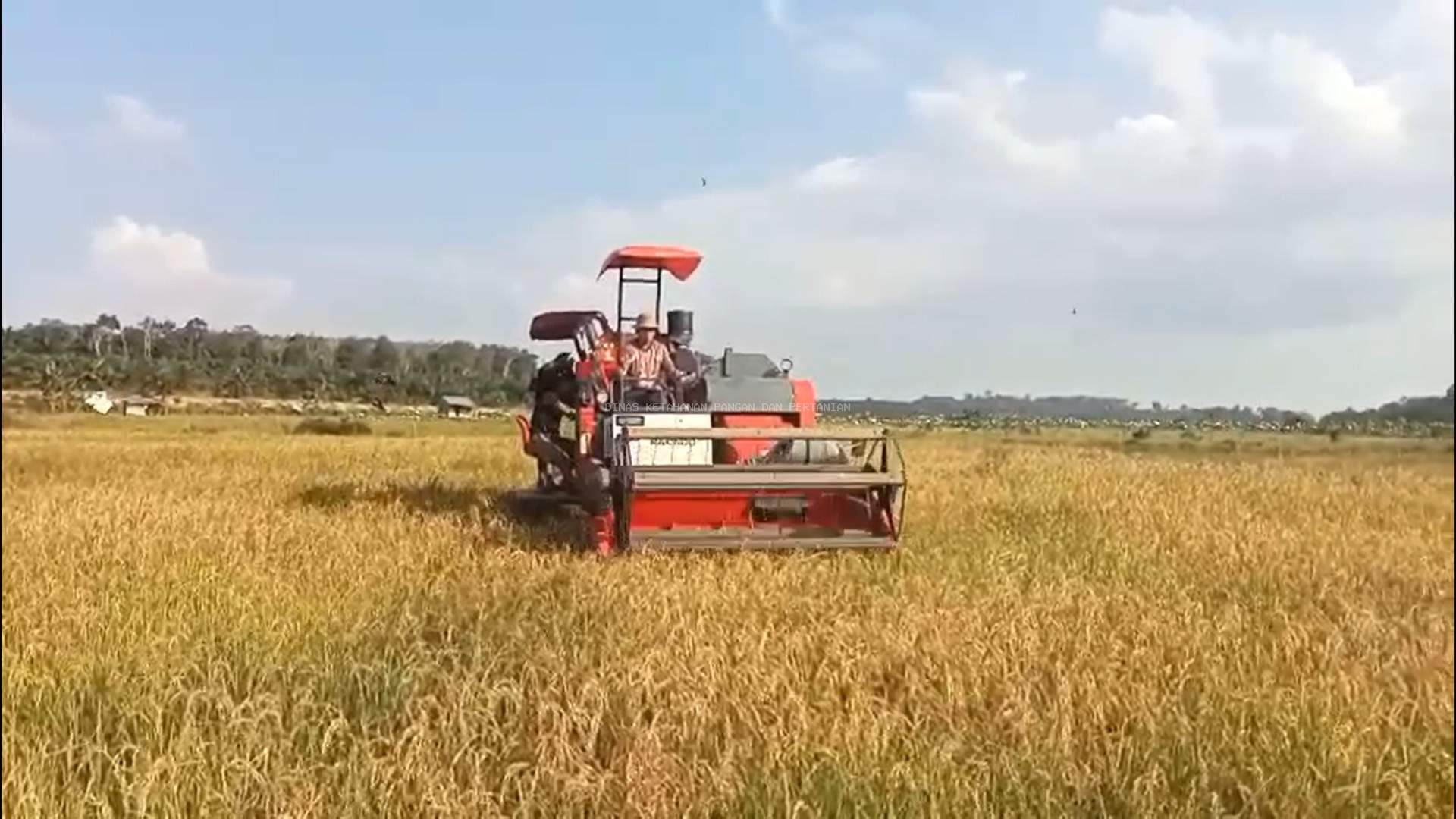 Manfaat Combine Harvester untuk Panen Padi