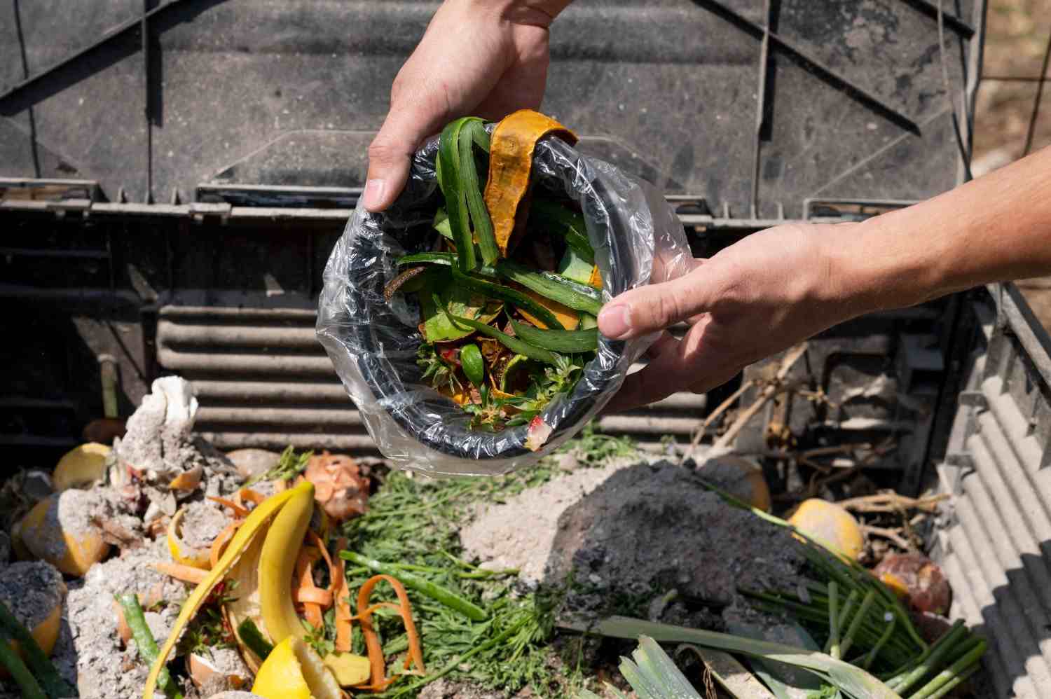Cara Memanfaatkan Limbah Organik Rumah Tangga dengan Tepat