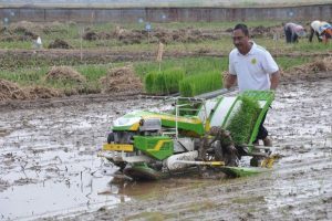 Menghitung Biaya Tenaga Kerja Saat Menanam Padi dengan Tepat