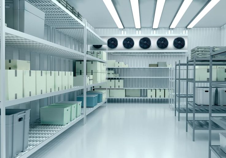 jenis usaha yang memakai cold storage
