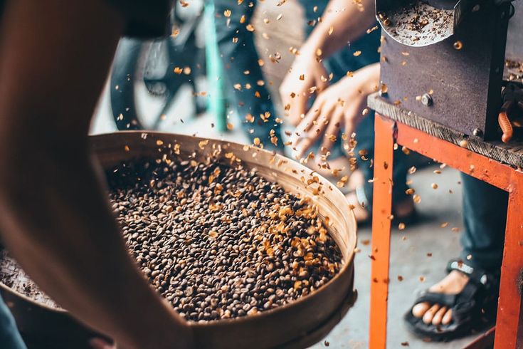 pengaruh kecepatan sangrai terhadap biji kopi