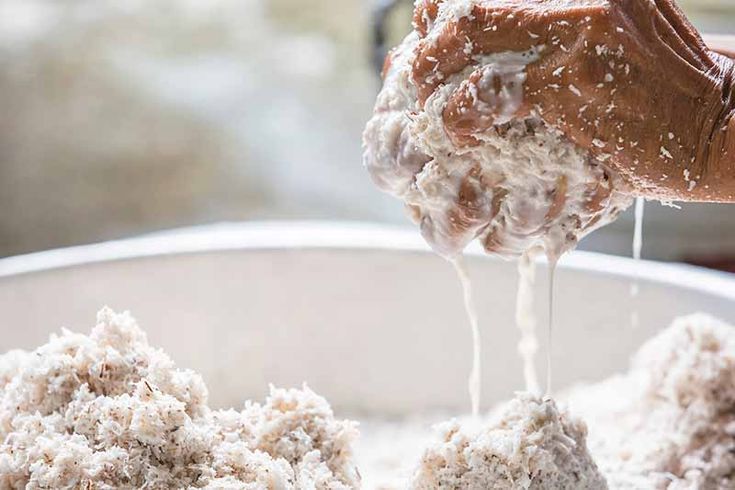 Cara Meningkatkan Produksi Santan agar Lebih Efisien