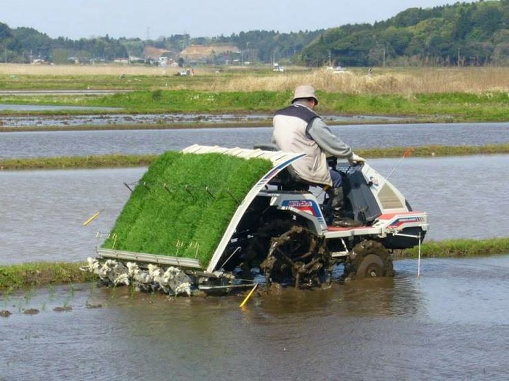 Biaya Operasional Rice Transplanter dan Komponennya